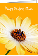 Sister Birthday Card - Sunny Flower against an Orange Background card