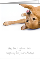 Sister Birthday Card - Humorous, Dog Sticking out Tongue card