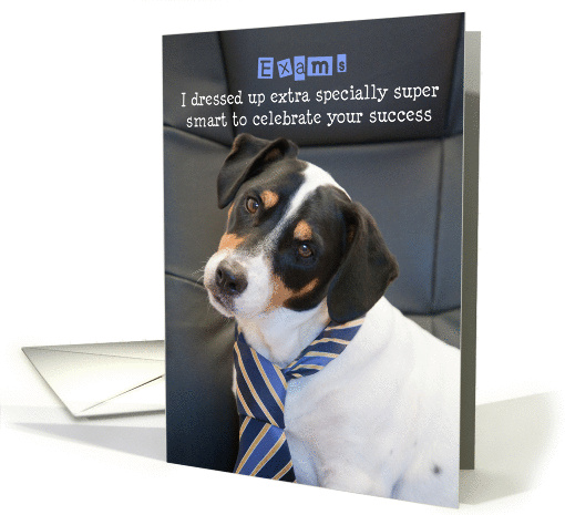 Exams Congratulations Card - Humorous, Dog Wearing Smart Tie card