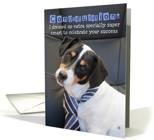 Congratulations Card - Humorous, Dog Wearing Smart Tie card (837018)