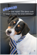 Grandad Birthday Card - Dog Wearing Smart Tie - Humorous card