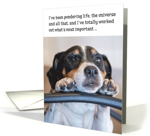 Birthday Card - Humorous Dog Pondering Life card (845046)