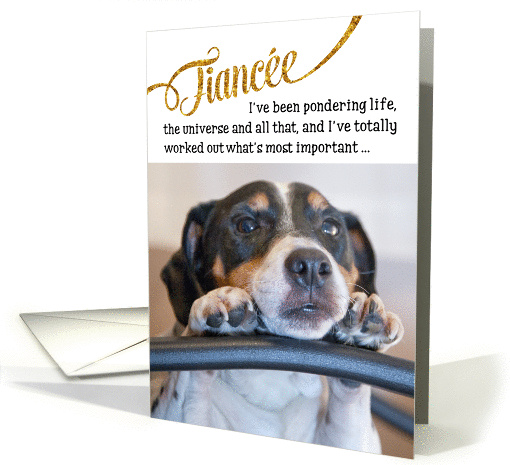 Fiancee Funny Birthday Card - Dog Pondering Life and The Universe card