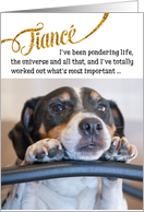 Fiance Funny Birthday Card - Dog Pondering Life and The Universe card