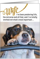 Wife Funny Birthday Card - Dog Pondering Life and The Universe card