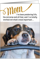 Mom Funny Birthday Card - Dog Pondering Life and The Universe card