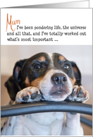 Mum Birthday Card - Humorous Dog Pondering Life card