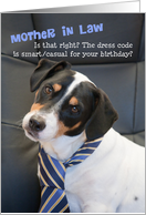 Mother in Law Birthday Card - Dog Wearing Smart Tie - Humorous card