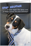 Step Brother in Law Birthday Card - Dog Wearing Smart Tie - Humorous card