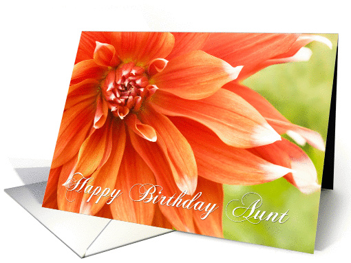 Aunt Birthday Card - Beautiful Dahlia Flower card (852077)