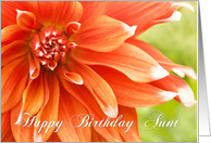 Aunt Birthday Card - Beautiful Dahlia Flower card