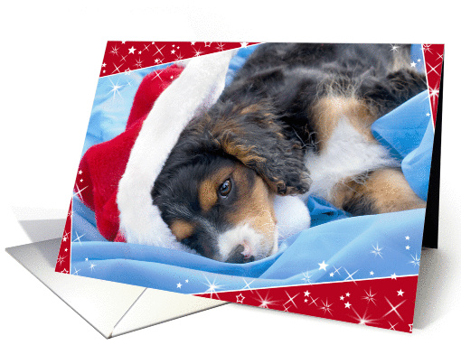 Christmas Card - Cute Puppy in Santa Hat card (870320)