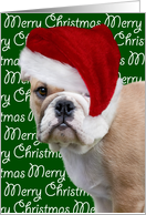Christmas Card - English Bulldog Puppy in Santa Hat card