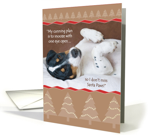 Christmas Card - Keeping Watch for Santa Paws card (871621)