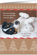 Christmas Card - Keeping Watch for Santa Paws card