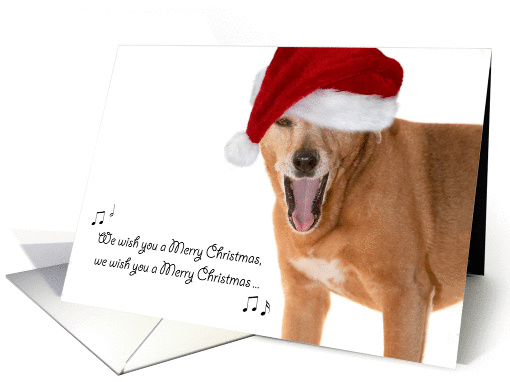 Christmas Card - Singing Rescue Dog in Santa Hat card (871627)