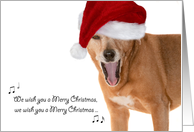 Christmas Card - Singing Rescue Dog in Santa Hat card