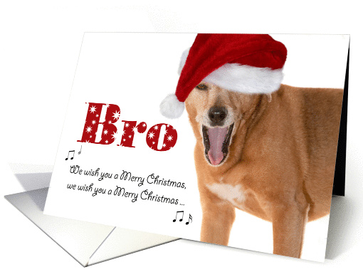 Merry Christmas Bro - Singing Dog in Santa Hat - Humorous card