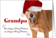 Merry Christmas Grandpa - Singing Dog in Santa Hat - Humorous card