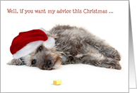 Humorous Christmas Card - Sound Advice from a Pup card