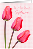 Mum Birthday Card - Red Tulip Trio card
