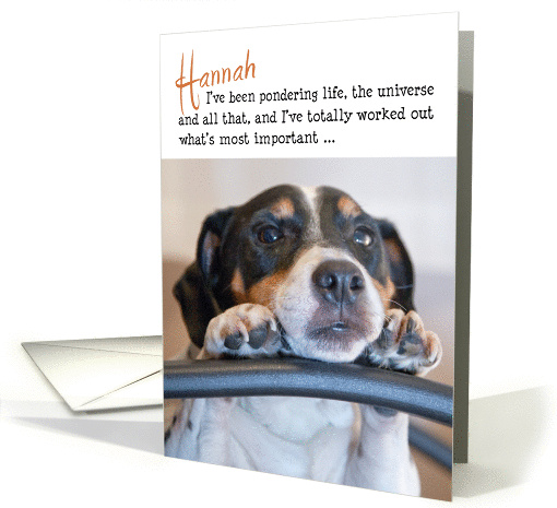 Hannah Birthday Card - Humorous Dog Pondering Life card (919023)