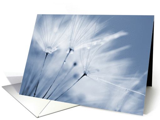 Blank Greeting Card - Blue Dandelion Clock card (928354)