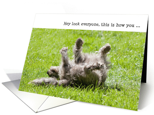 Humorous Birthday Card - ROFL Pup card (931382)