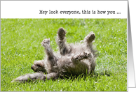 Humorous Birthday Card - ROFL Pup card