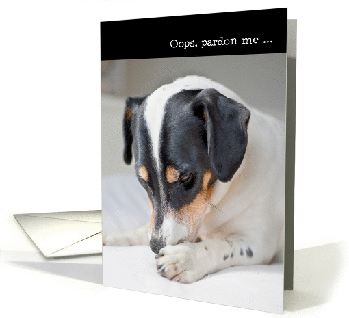 Humorous Birthday Card - Dog Burp card (937394)