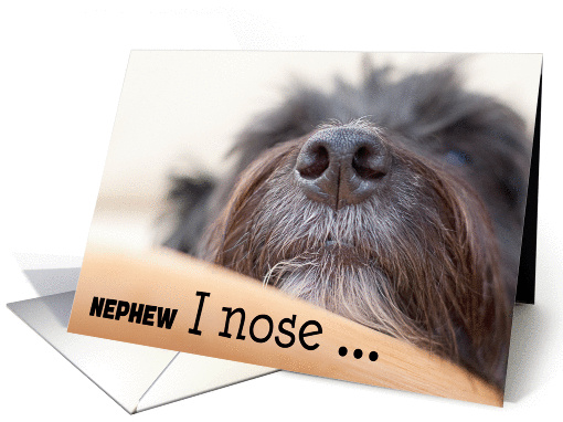 Nephew Humorous Birthday Card - The Dog Nose card (941348)