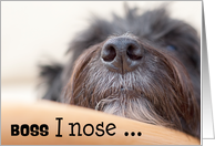 Boss Humorous Birthday Card - The Dog Nose card