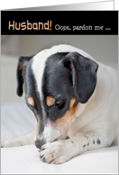 Husband Humorous Birthday Card - Dog Burp card