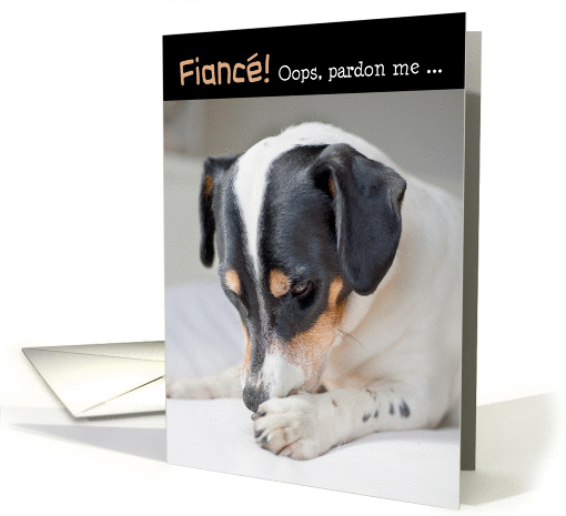 Fiance Humorous Birthday Card - Dog Burp card (941636)