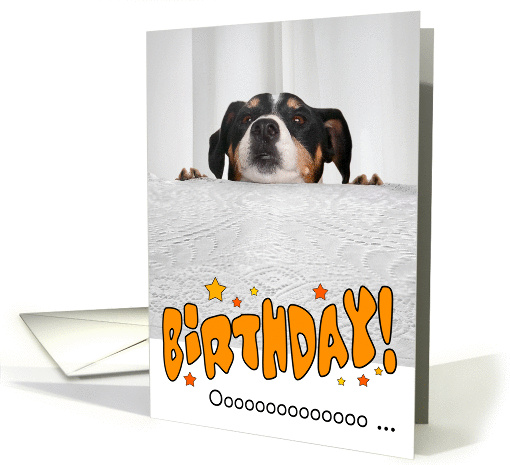 Humorous Birthday Card - Dog Peeking Over Table card (941670)