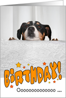 Humorous Birthday Card - Dog Peeking Over Table card