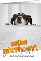 Mum Humorous Birthday Card - Dog Peeking Over Table card