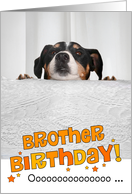 Brother Humorous Birthday Card - Dog Peeking Over Table card