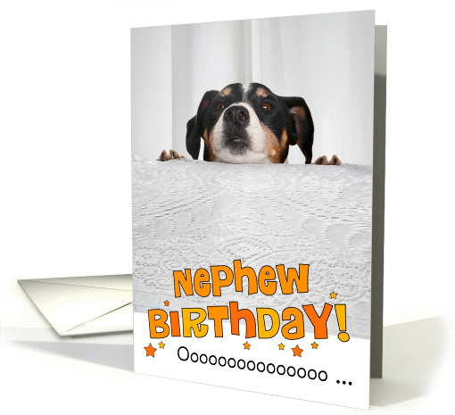 Nephew Humorous Birthday Card - Dog Peeking Over Table card (944996)