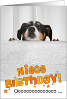Niece Humorous Birthday Card - Dog Peeking Over Table card