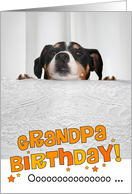 Grandpa Humorous Birthday Card - Dog Peeking Over Table card