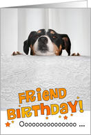 Friend Humorous Birthday Card - Dog Peeking Over Table card