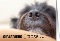 Girlfriend Humorous Birthday Card - The Dog Nose card