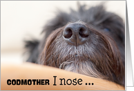 Godmother Humorous Birthday Card - The Dog Nose card