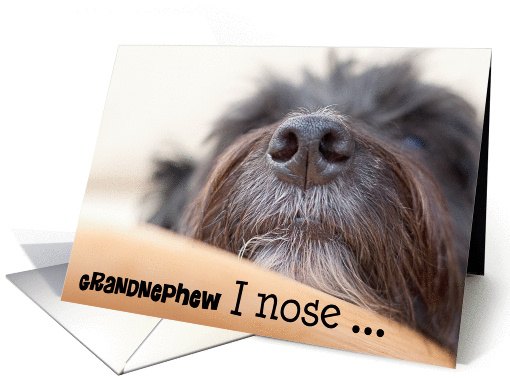 Grandnephew Humorous Birthday Card - The Dog Nose card (949491)