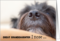 Great Granddaughter Humorous Birthday Card - The Dog Nose card