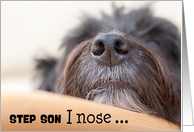 Step Son Humorous Birthday Card - The Dog Nose card
