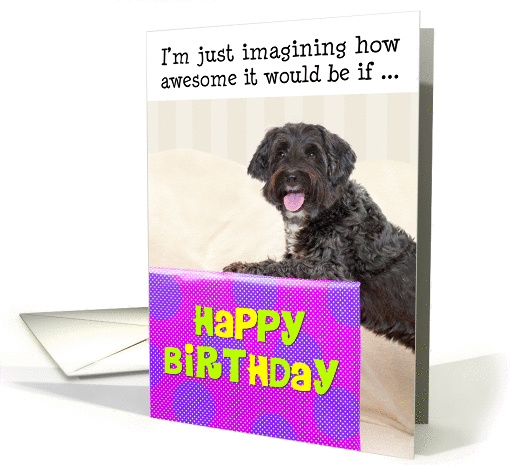 Humorous Birthday Card - Dog and Huge Present card (956995)