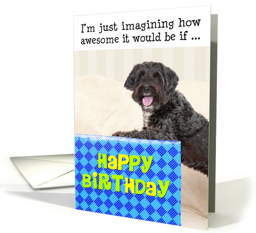 Humorous Birthday Card - Dog and Huge Present card (956997)