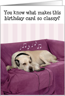 Humorous Birthday Card - Dog with Headphones Listening to Music card